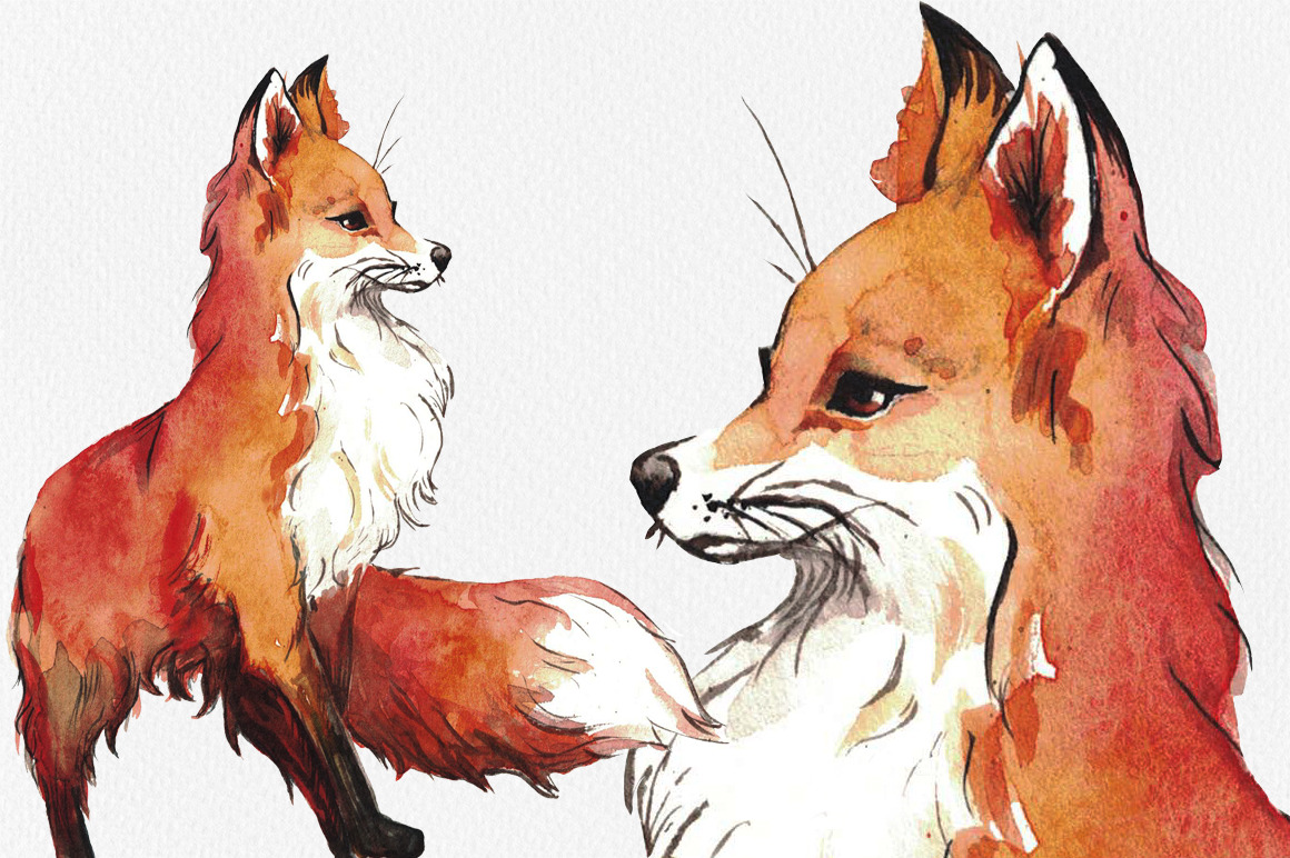 1160x772 Watercolor Fox By Kiraartshop - Watercolor Fox