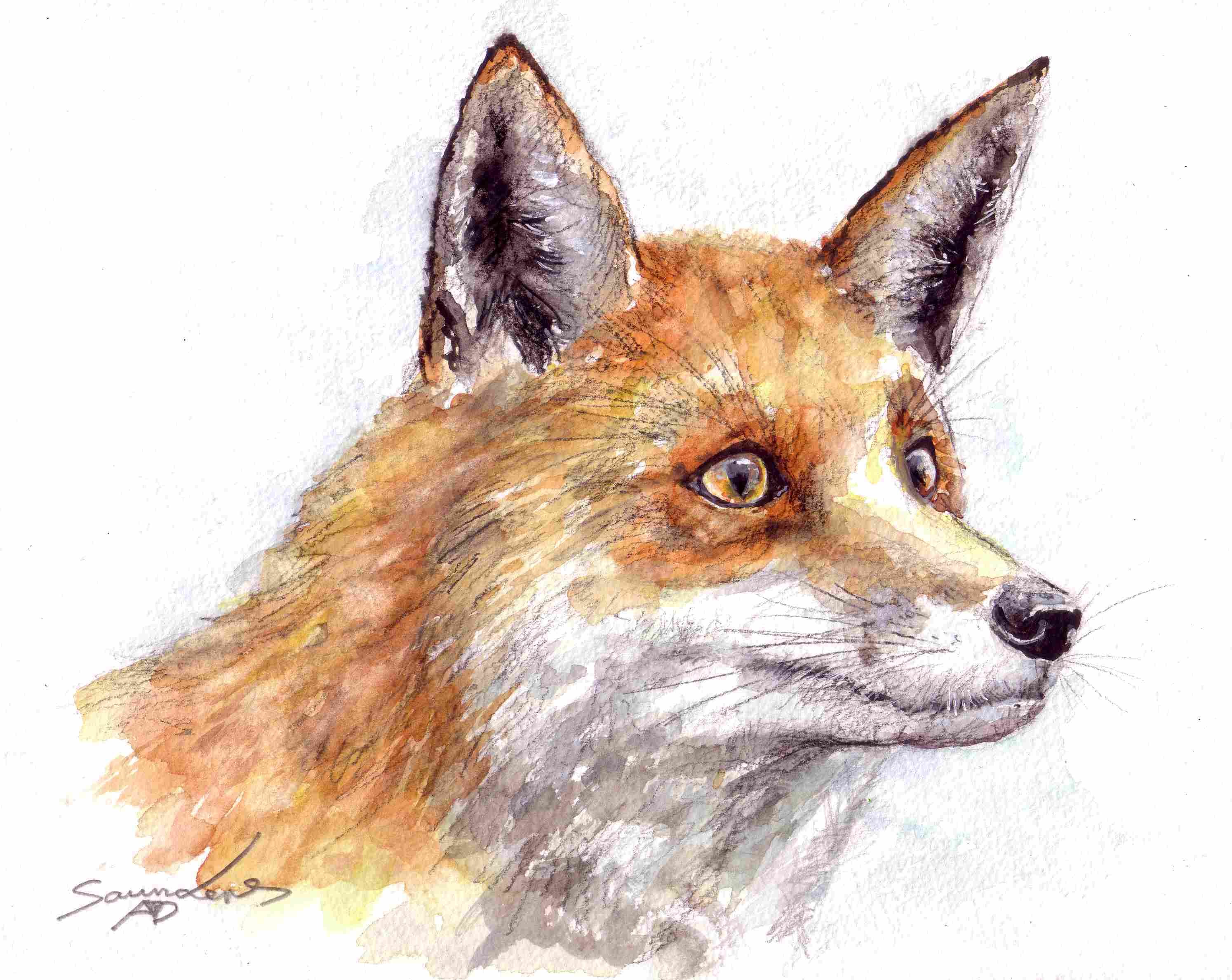 2988x2376 Fox Time Lapse Watercolour Painting - Watercolor Fox