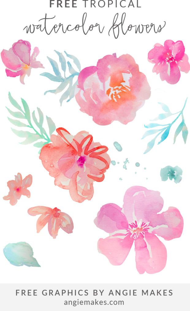 620x1012 Free Watercolor Floral Graphics 32 Best Watercolor Freebies Images - Watercolor Freebies
