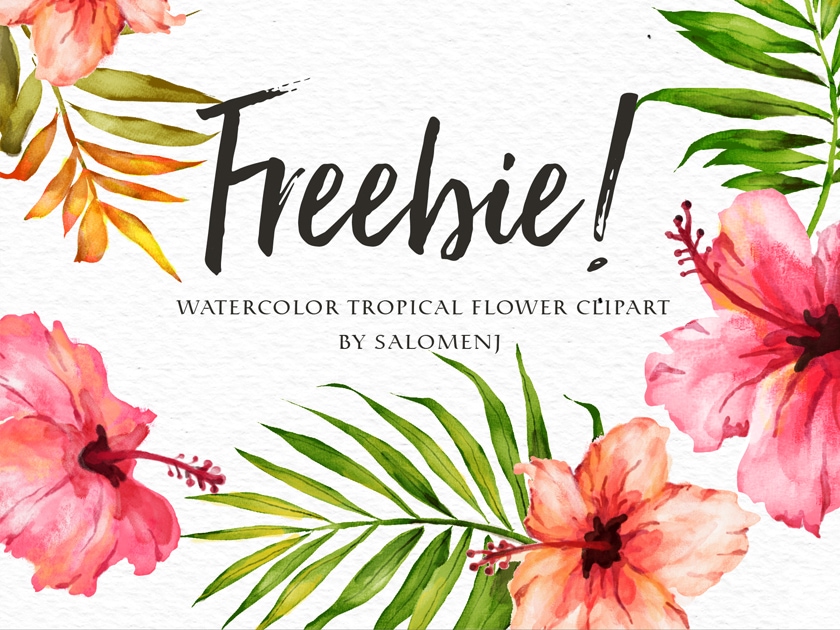 840x630 Watercolor Tropical Flower - Watercolor Freebies
