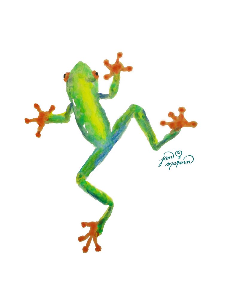 752x1024 Red Eyed Tree Frog Print Of Watercolor Painting Jan Marvin Art - Watercolor Frog