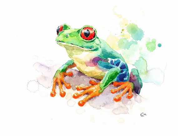 570x436 Tree Frog - Watercolor Frog