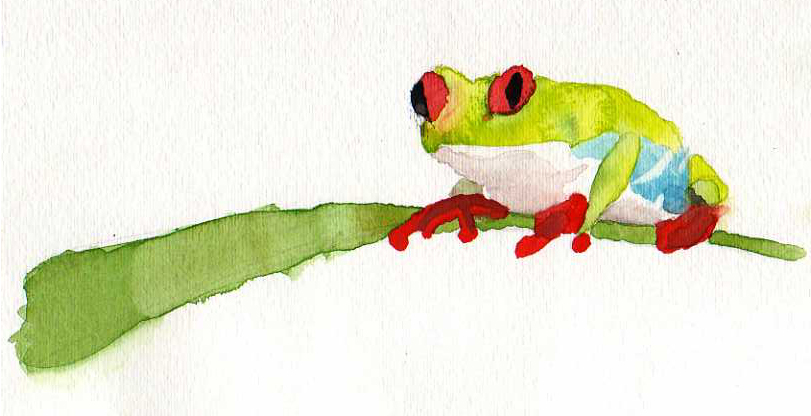 811x416 Watercolor Frog By Blazereaper - Watercolor Frog