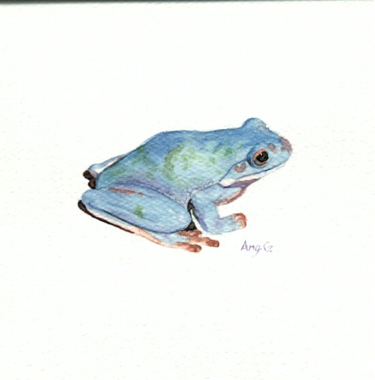 548x555 Watercolor Frog By Flangsedai - Watercolor Frog