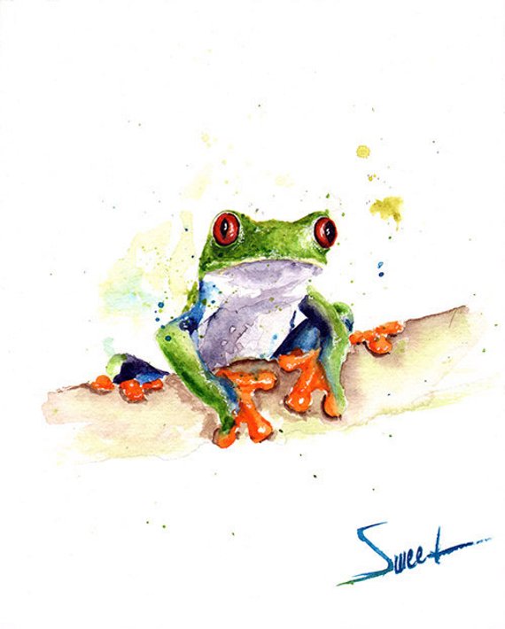 570x710 Frog Art Print Watercolor Frog Painting Red Eyed Tree Frog Etsy - Watercolor Frog