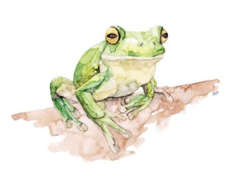 340x270 Frog Painting Print From Original Watercolor Painting Etsy - Watercolor Frog