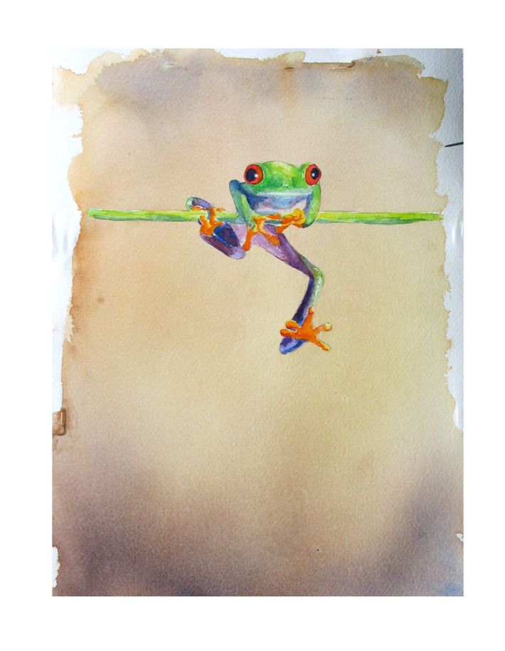 710x915 Watercolor Frog Tattoo Ideas Frogs, Watercolor And - Watercolor Frog Tattoo