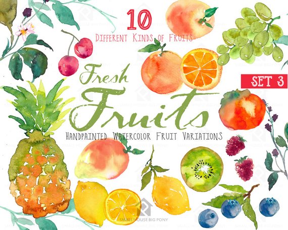 570x456 Fruits Watercolor Clipart Watercolor Fruit Clip Art Etsy - Watercolor Fruit