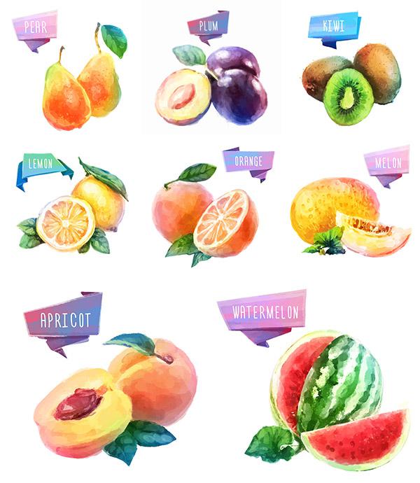 600x690 Watercolor Fruit Design [Ai] - Watercolor Fruit