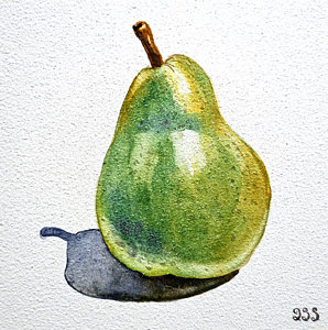 298x300 Watercolor Fruit Paintings Fine Art America - Watercolor Fruit