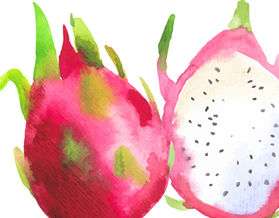 404x316 Watercolor Fruit And Vegetables On Behance - Watercolor Fruit