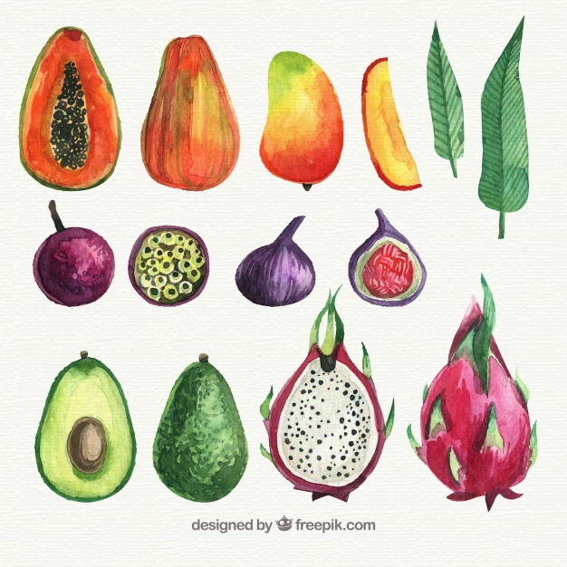 626x626 Watercolor Fruit Set Vector Free Download - Watercolor Fruit