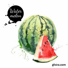 236x236 313 Best Watercolor Fruit Amp Veggies Images In 2018 - Watercolor Fruit