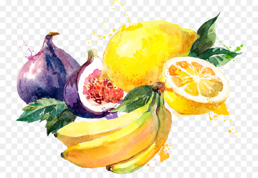 Watercolor Fruit at PaintingValley.com | Explore collection of ...