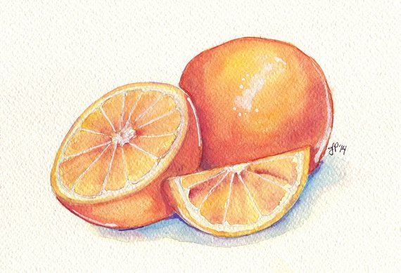 570x389 Oranges Still Life Art Orange Fruit Slice Watercolor Art Etsy - Watercolor Fruit Still Life