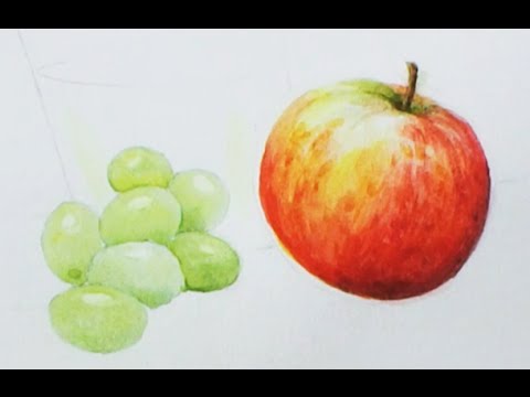 480x360 Part 2 Up Close Amp Detailed Still Life. Pro Watercolour Tutorial 4 - Watercolor Fruit Still Life