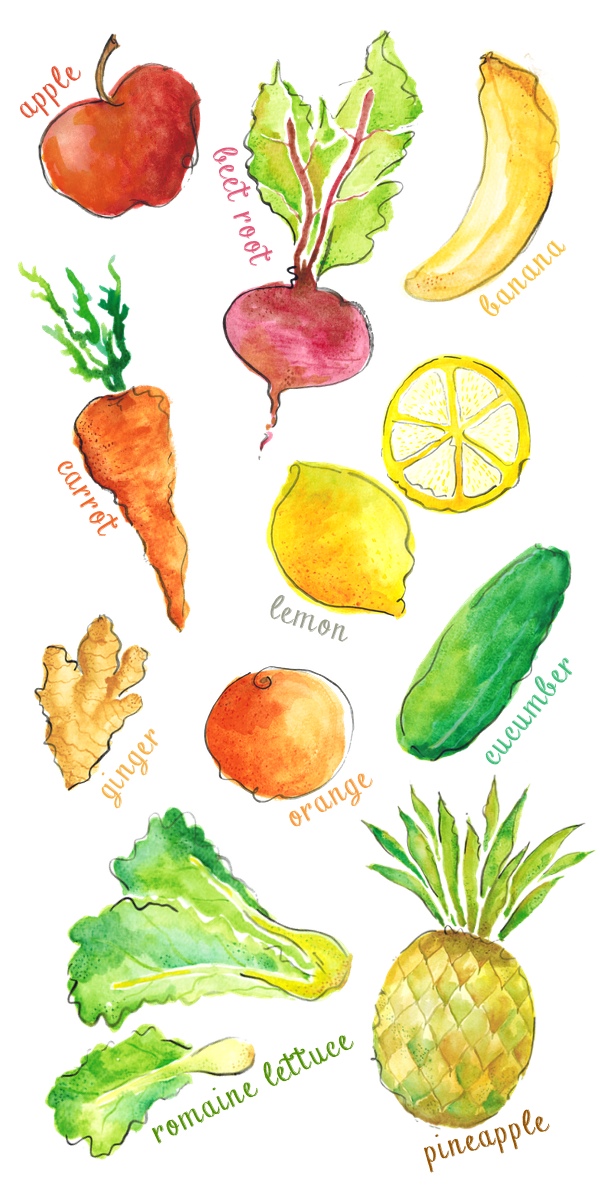 600x1200 Lettuce Clipart Fruits And Vegetable - Watercolor Fruits And Vegetables