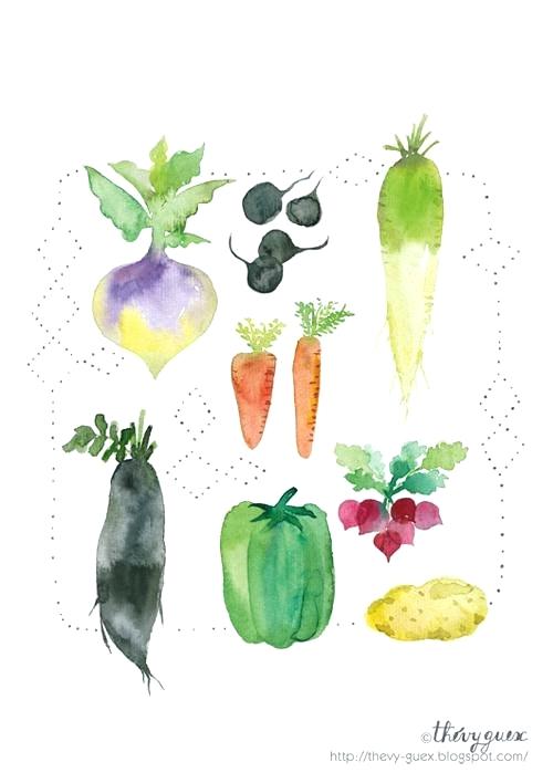 500x708 Watercolor Vegetable Watercolor Fruits And Vegetables - Watercolor Fruits And Vegetables