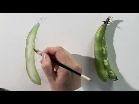 480x360 Watercolour Fruit Amp Vegetable Portraits Three - Watercolor Fruits And Vegetables