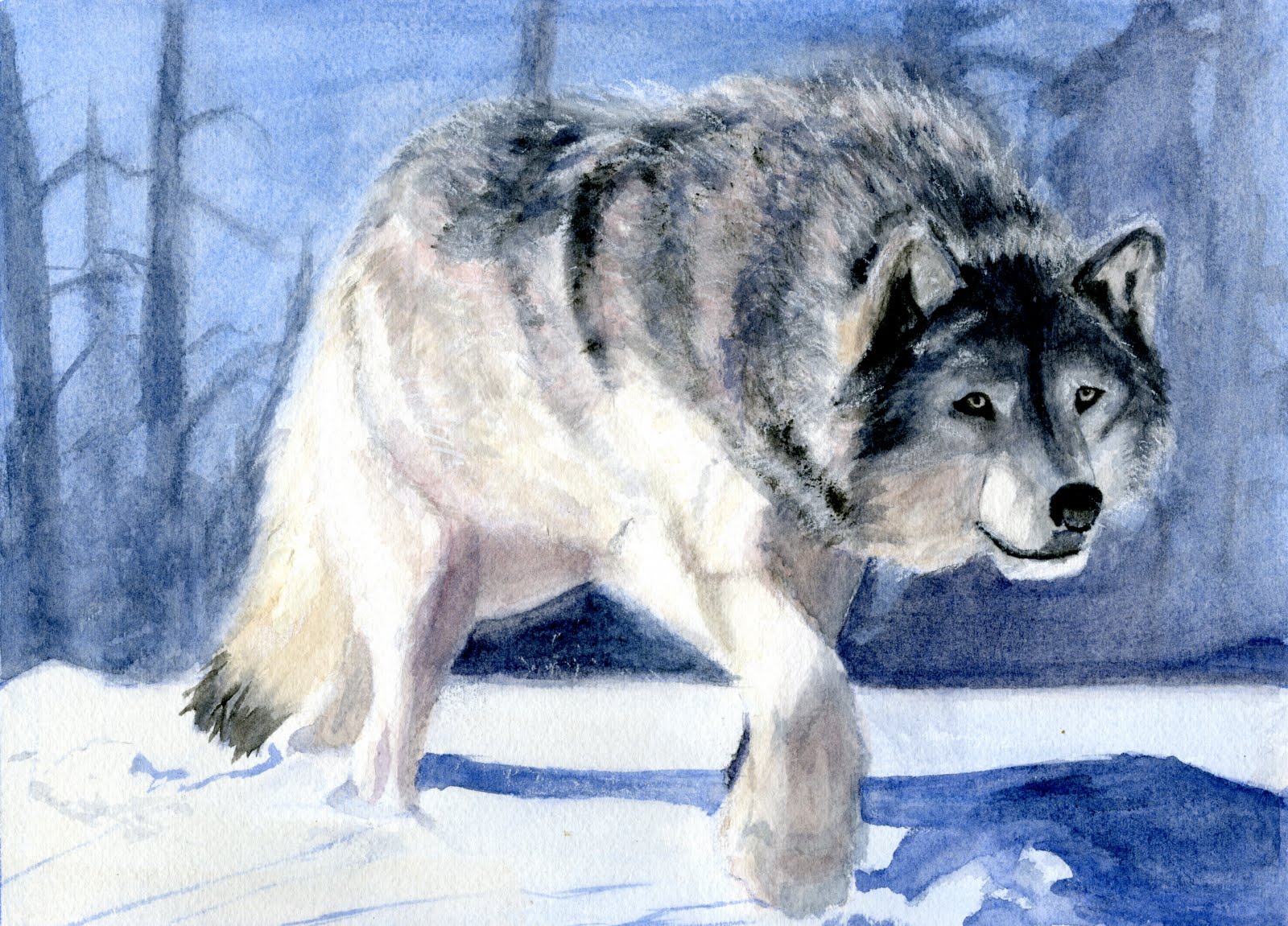 1600x1151 Eds Art Blog Wolf Watercolor - Watercolor Fur
