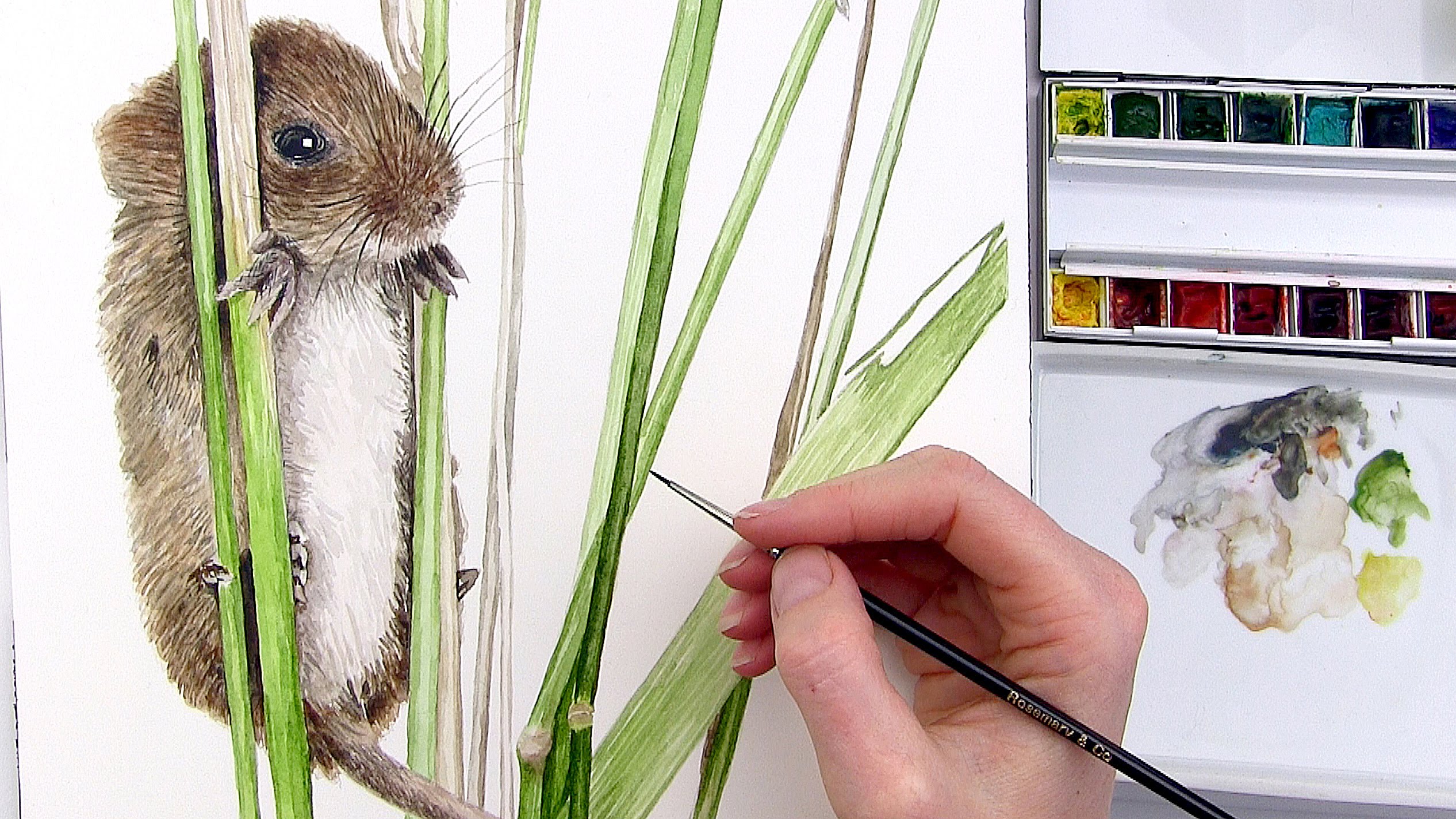 2532x1424 How To Paint Fur In Watercolour - Watercolor Fur