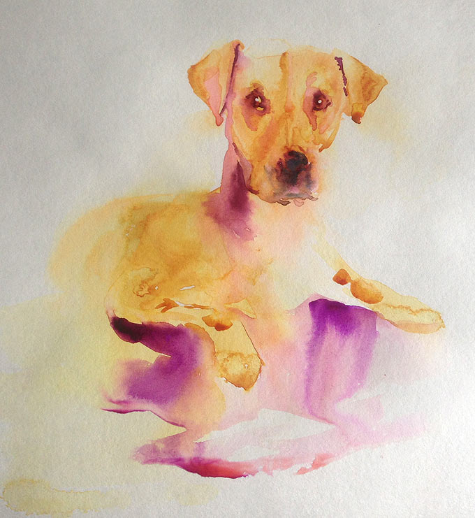 680x741 Painting Fur In Watercolor Olga Peregood - Watercolor Fur