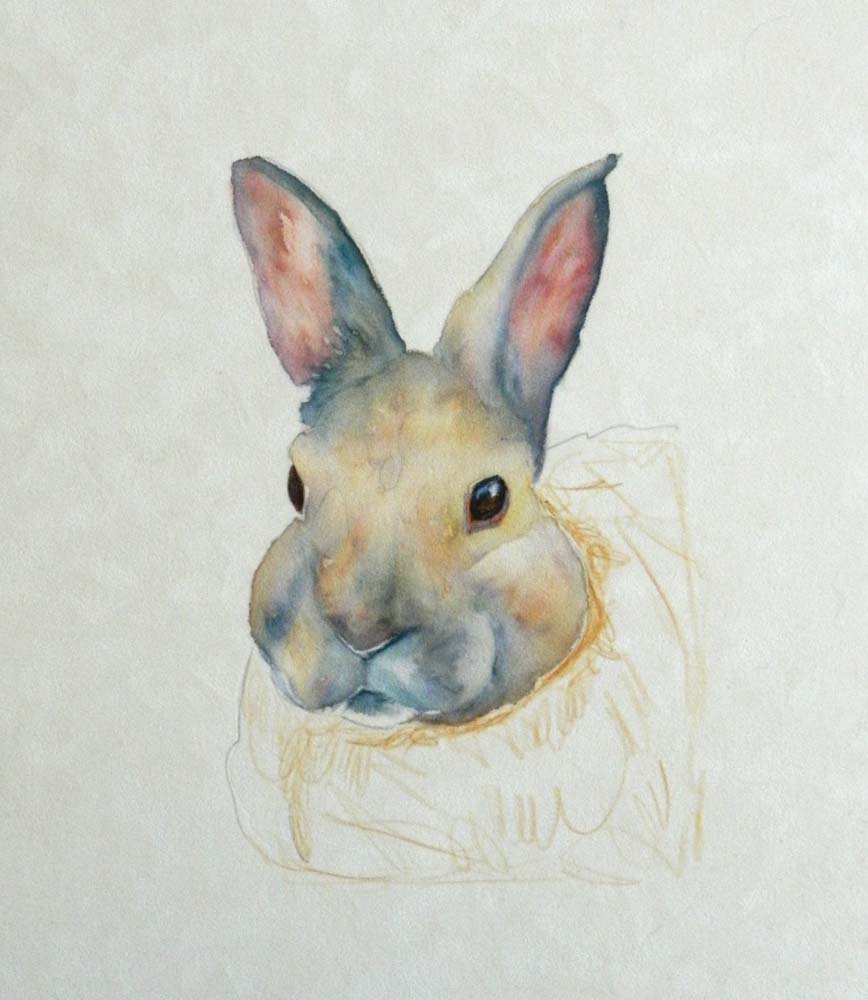 868x1000 Snow Bunny Start To Finish Fur In The Paint - Watercolor Fur