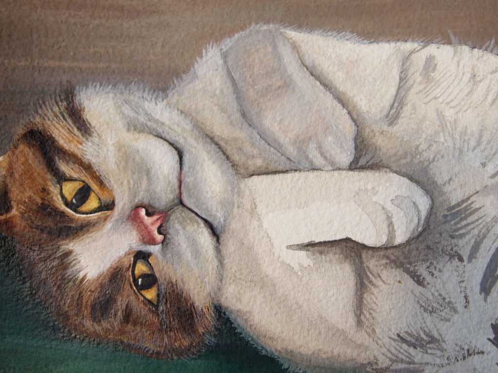 1024x768 Watercolor Pet Portrait How To 7 Steps (With Pictures) - Watercolor Fur