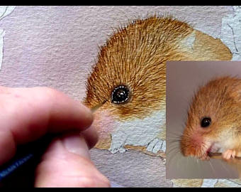 340x270 Watercolor Step By Step Learn To Paint In Watercolour 5 Pdf Etsy - Watercolor Fur