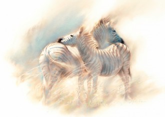 330x234 Watercolor Workshop Fur And Feathers With Dylan Scott Pierce - Watercolor Fur