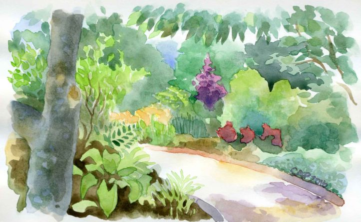723x446 Watercolor Carolyn A Pappas - Watercolor Garden