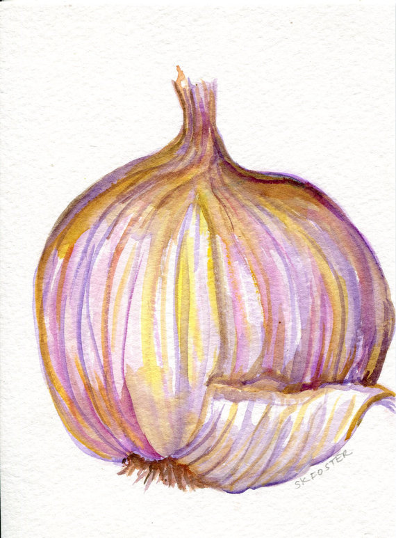 570x773 Garlic Watercolor Painting Original Wabi Sabi Kitchen Wall - Watercolor Garlic