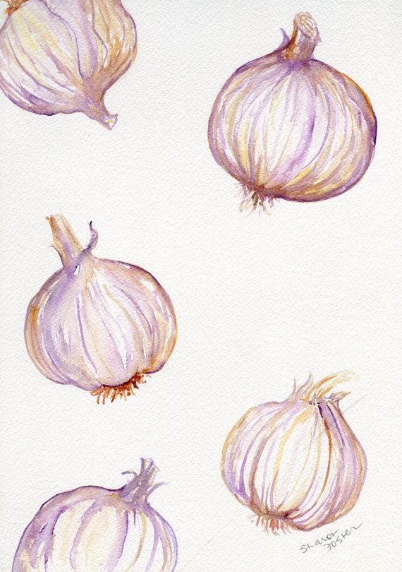 570x810 Garlic Watercolors Painting Original, Garlic Art Still Life 9 X 12 - Watercolor Garlic