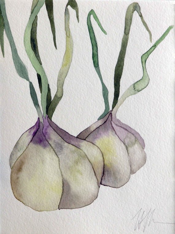 570x760 Original Art Watercolor Painting Garlic Kitchen Art Etsy - Watercolor Garlic