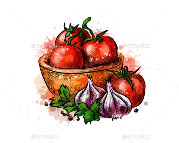 590x472 Tomatoes And Garlic From A Splash Of Watercolor By Kapona - Watercolor Garlic