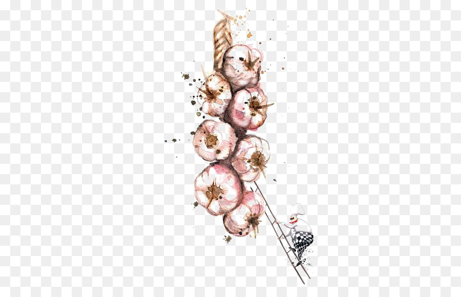 900x580 Watercolor Painting Drawing Food Illustration - Watercolor Garlic