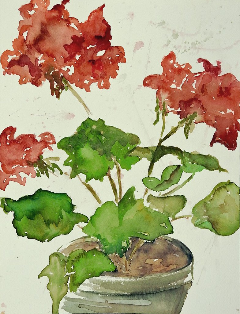784x1024 Geraniums Watercolor Painting Artifax Antiques Amp Design - Watercolor Geraniums