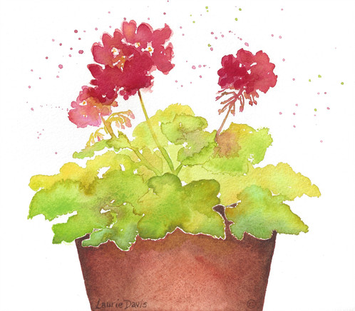 498x436 Red Geraniums Watercolor Art Card - Watercolor Geraniums
