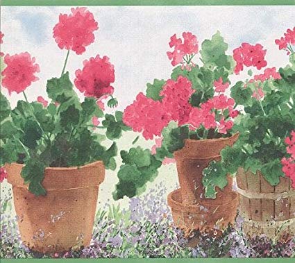 425x379 Wallpaper Border Watercolor Potted Geraniums On White With Green - Watercolor Geraniums