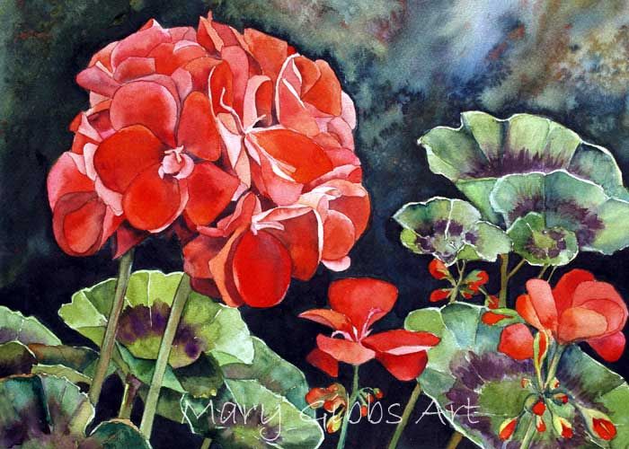 700x500 Watercolor Geraniums - Watercolor Geraniums