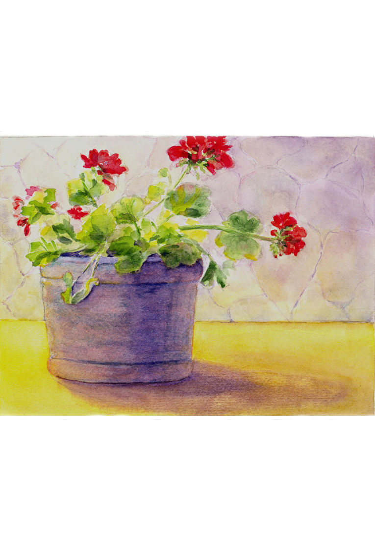 765x1114 Geraniums In The Sun Original Watercolor By Anne Johnson Artsampsouls - Watercolor Geraniums