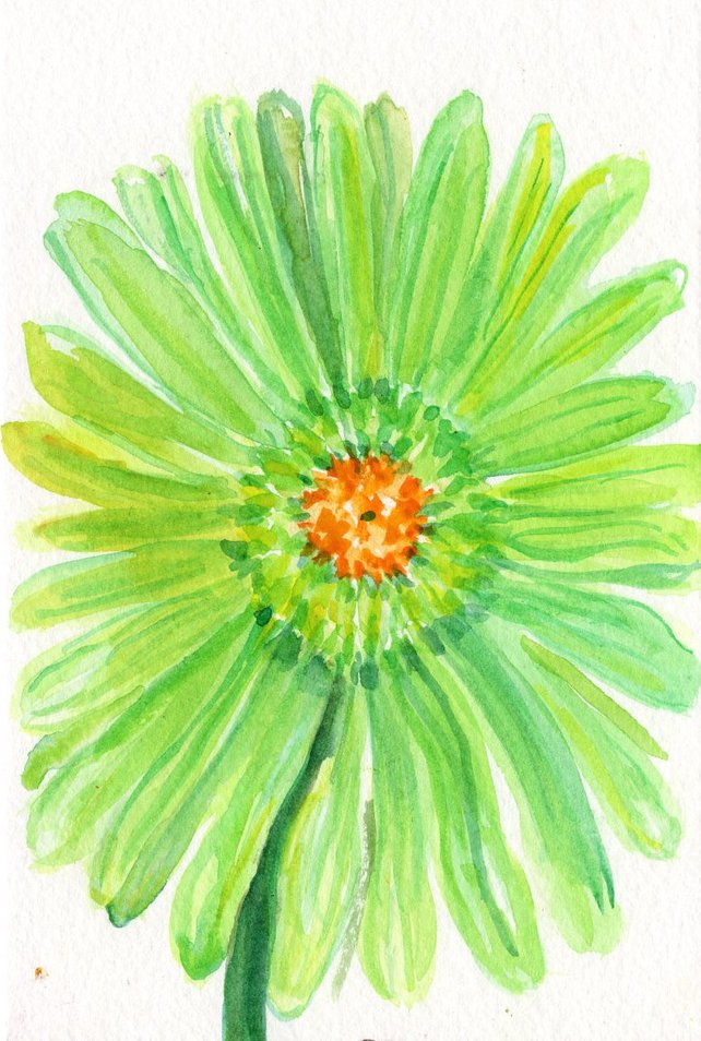 642x954 Lime Green Gerber Daisy Watercolor Painting Original 4 X 6 Etsy - Watercolor Gerbera Daisy
