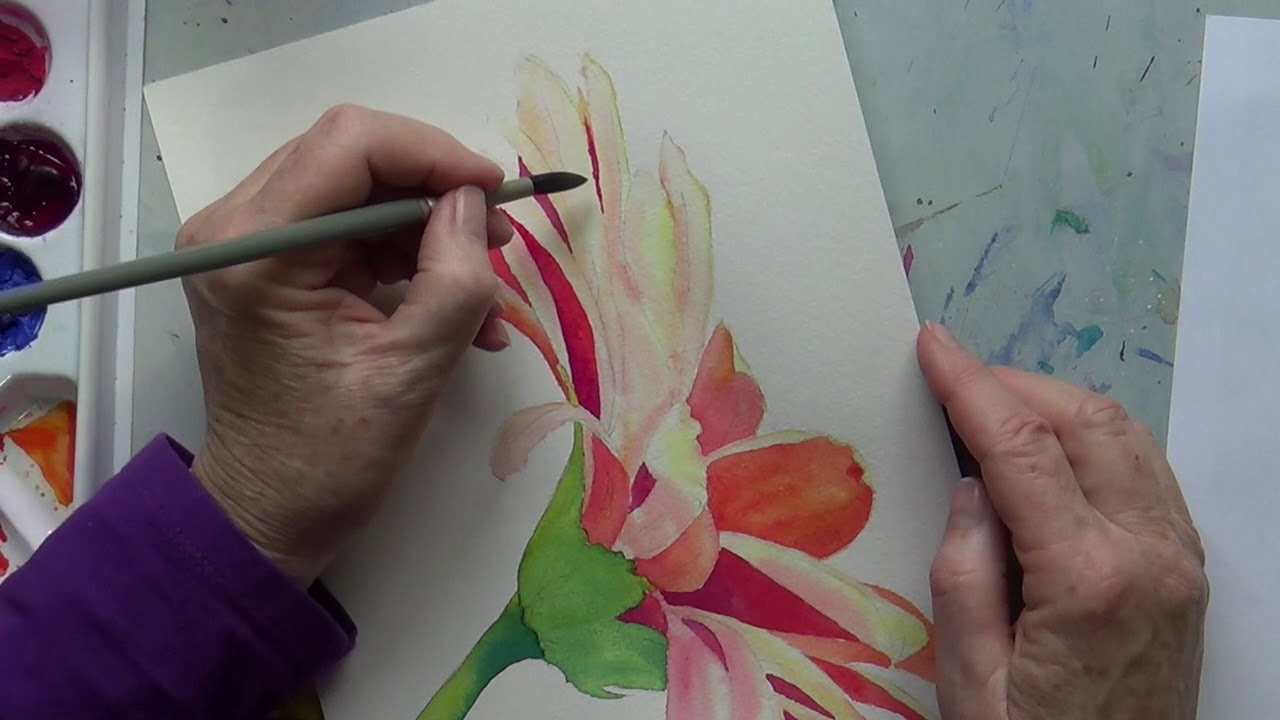 1280x720 Painting A Gerbera Daisy In Watercolor Part 2 - Watercolor Gerbera Daisy