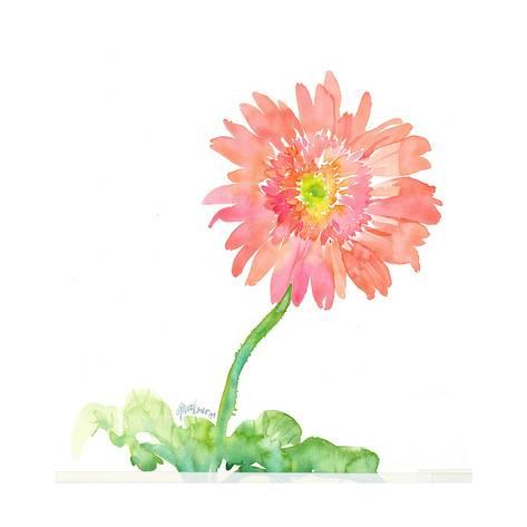 473x473 Pink Watercolor Gerbera Daisy On Curved Stem Posters - Watercolor Gerbera Daisy