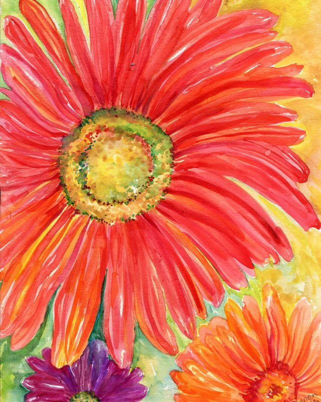 642x803 Red Gerbera Daisy Original Watercolor Painting 8 X 10 Floral Etsy - Watercolor Gerbera Daisy