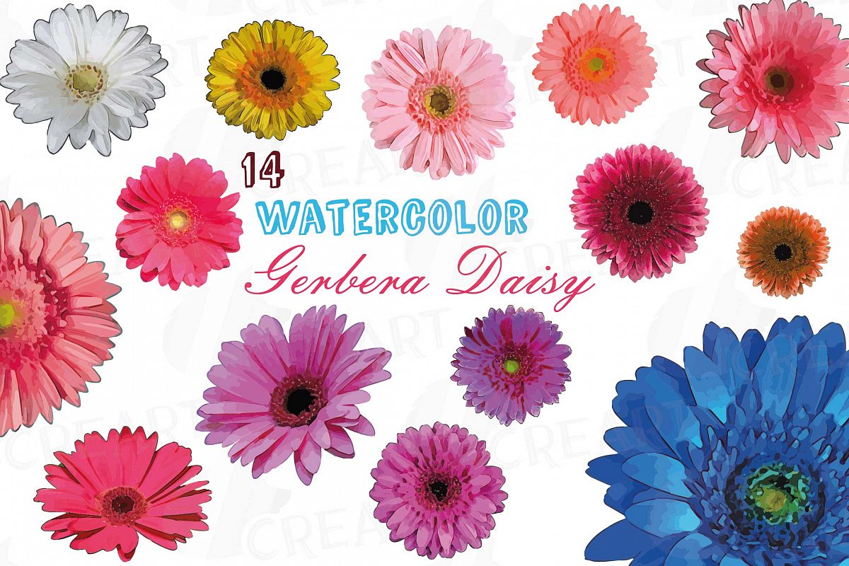 Watercolor Gerbera Daisy Clip Art Pack, Colorful Gerbers - Watercolor Gerbe...