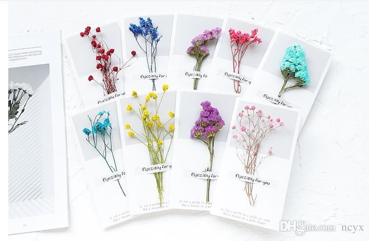 757x494 Shanhai Whale Fresh And Creative Dry Flower Cards Watercolor - Watercolor Gift Cards