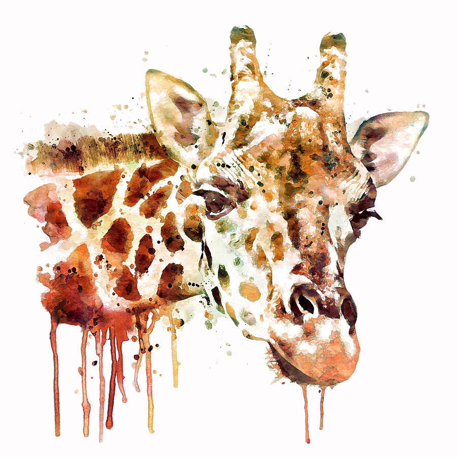 900x900 Giraffe Head Painting By Marian Voicu - Watercolor Giraffe Art
