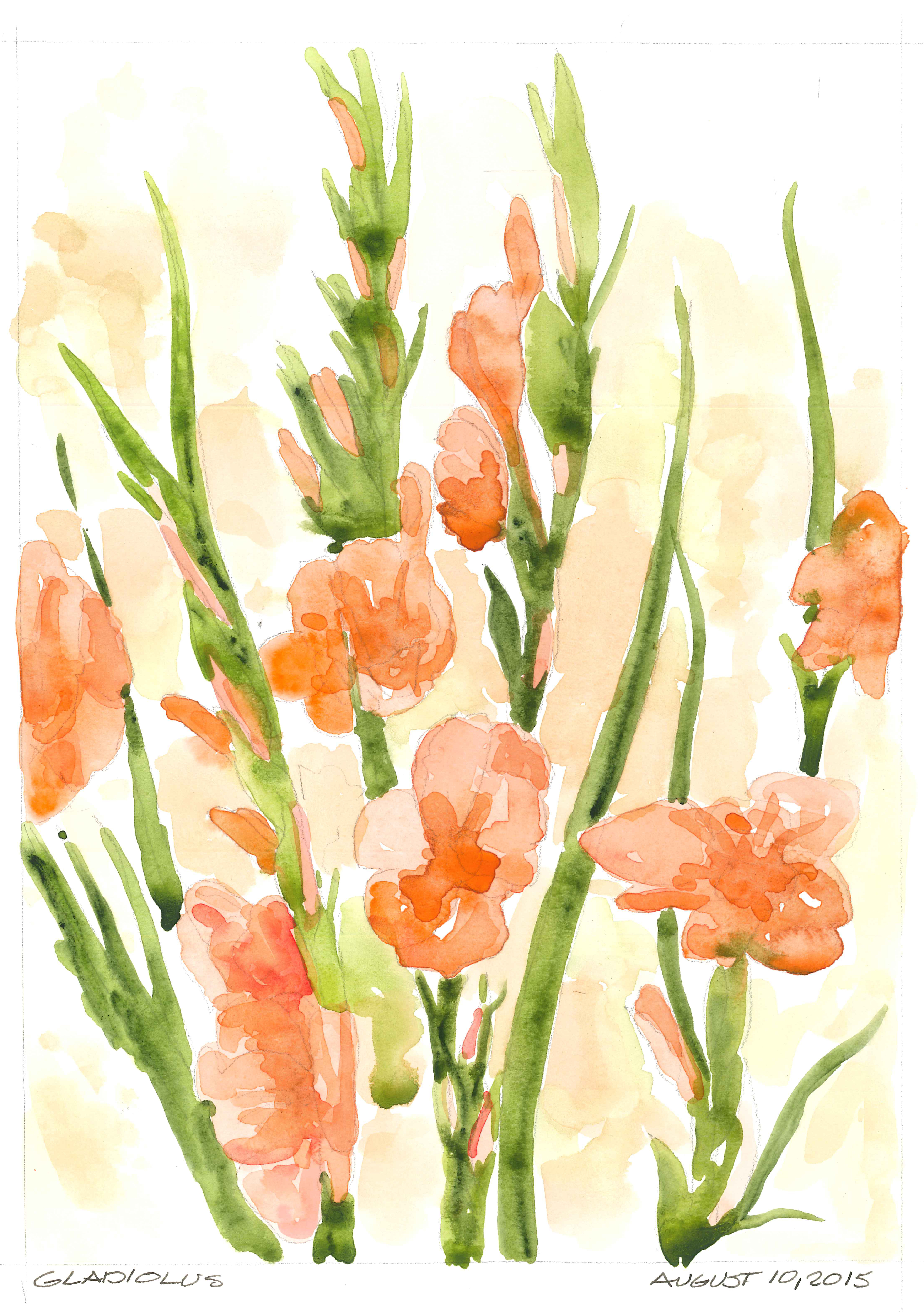 4448x6316 Gladiolus Flowers A Sketchbook Odyssey - Watercolor Gladiolus