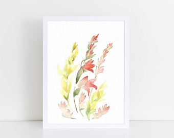 340x270 Gladiolus Watercolor Etsy - Watercolor Gladiolus